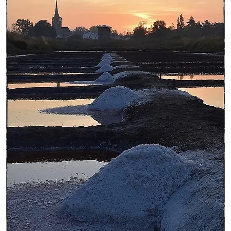 L'appart Du Palais A 150m De La Grande Apartment