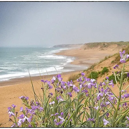 L'appart Du Palais A 150m De La Grande Apartment Les Sables-d'Olonne