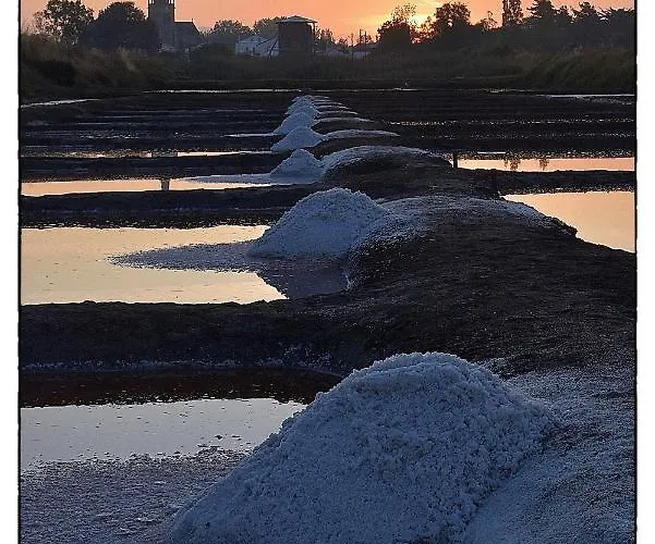 L'appart Du Palais A 150m De La Grande Appartamento